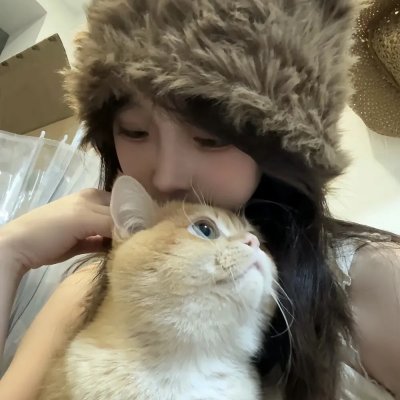 皇帝出京